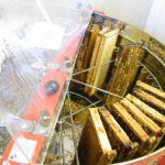 Vue de l'intérieur de la cuve