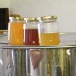 Pots de miel GALDINO