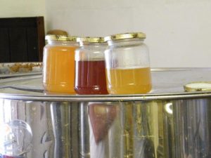 Pots de miel GALDINO