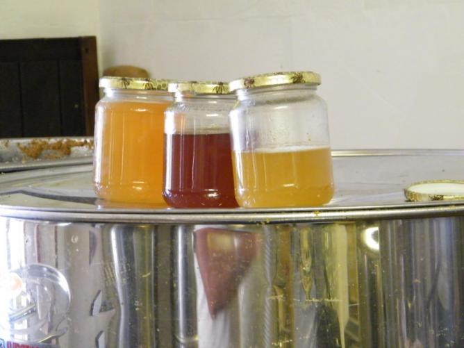 Pots de miel GALDINO